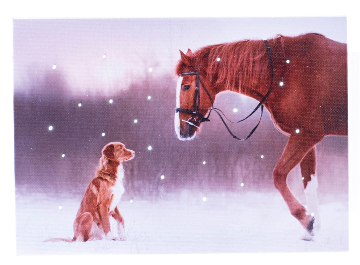 LED Lighted Tabletop Picture, HORSE W/DOG 6x8 IN