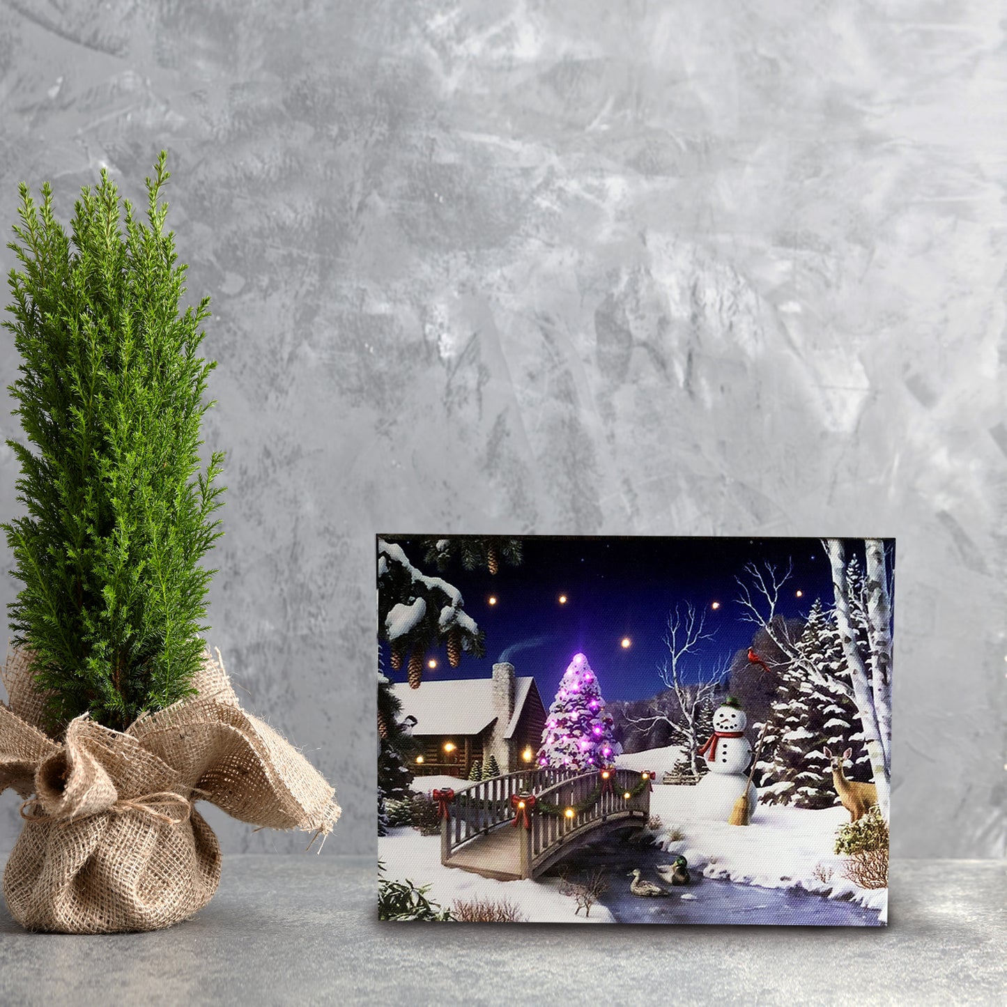 Snowman Lighted Canvas Tabletop Wall Art Print w Timer, Optical Fiber LED Canvas Wall Art Light Up Pictures, Christmas Tree Snowy Landscapes Home Decor