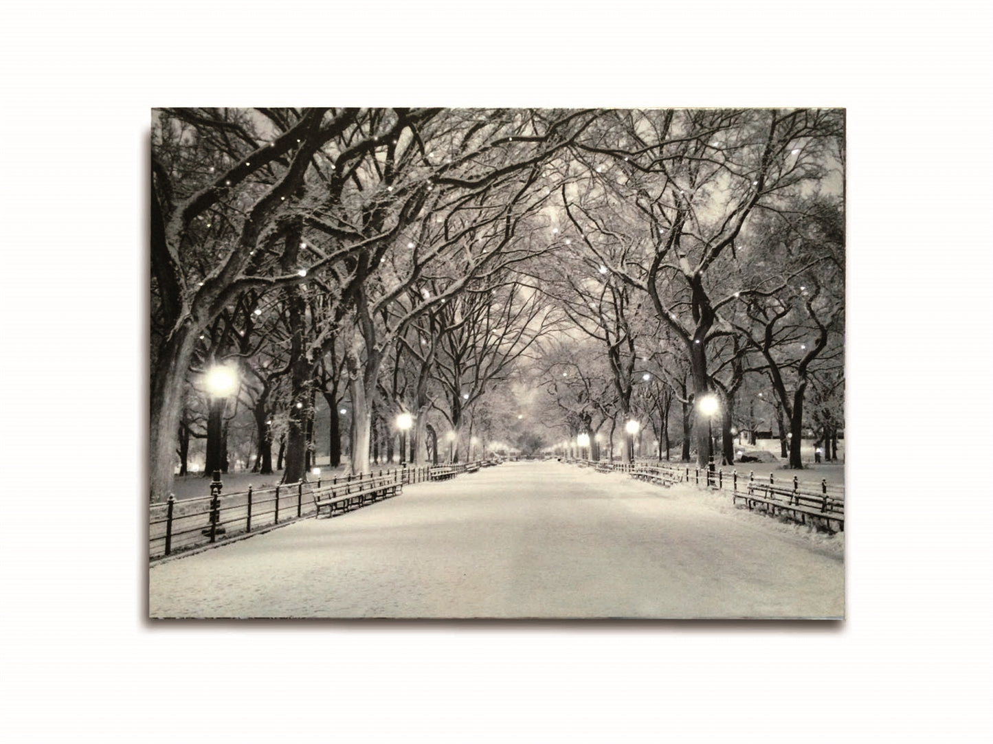 LED Lighted Canvas Wall Art, Home Decor Light up Picture with Timer, SNOWY PATH
