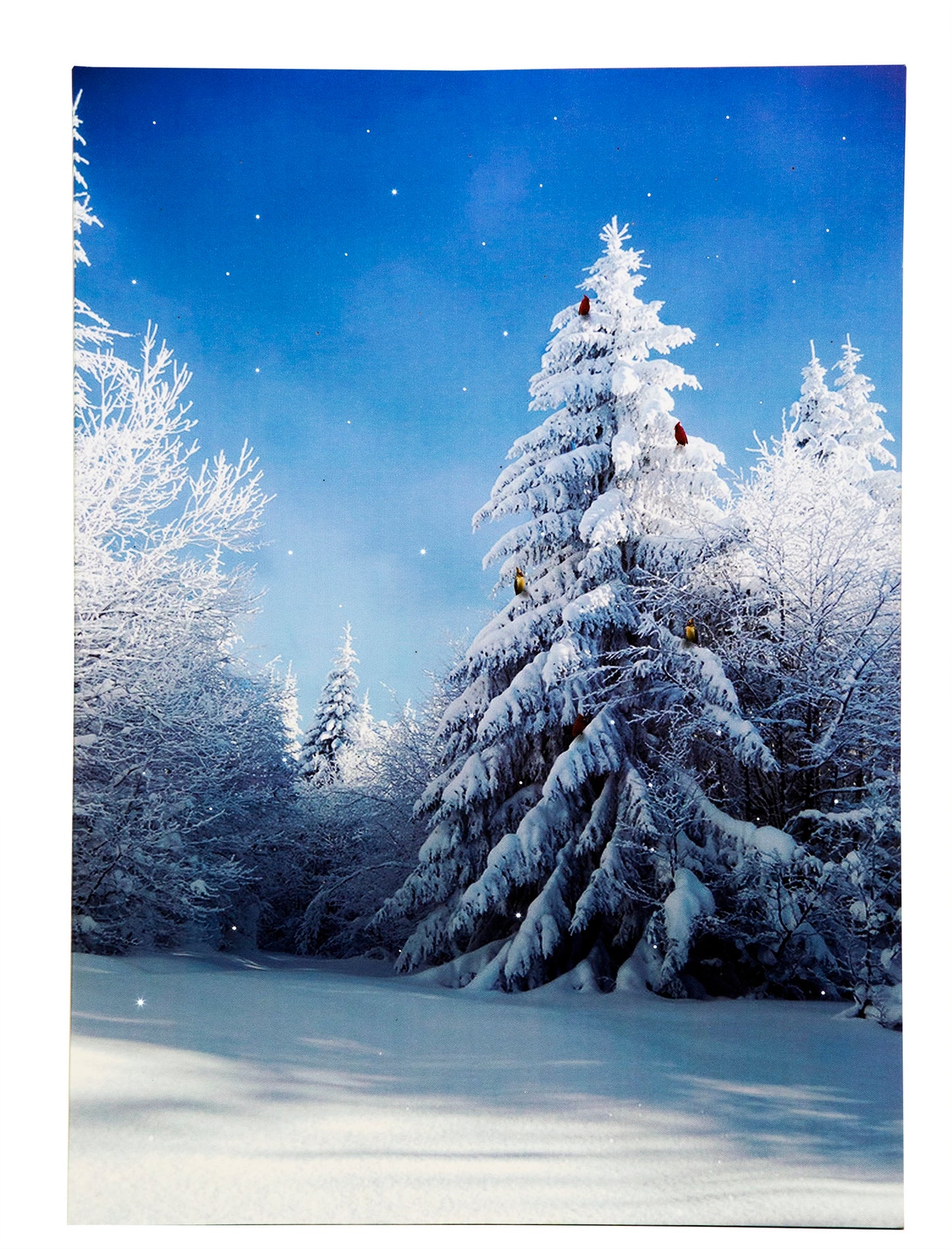 LED Lighted Canvas Wall Art, Home Decor Light up Picture with Timer, WINTER FOREST SCENE