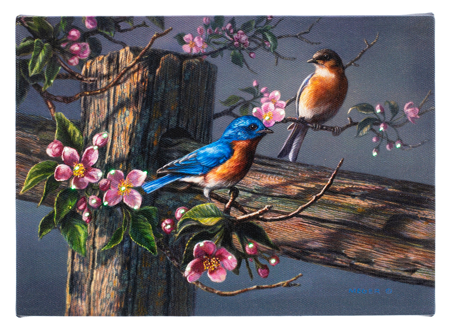 LED Tabletop Canvas Art 8"x6" Wall Decor Light up Picture 6H Timer, WOODEN PILE W/TWO BIRDS
