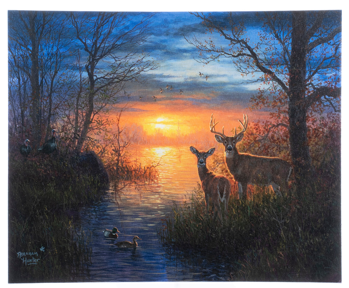 LED Lighted Canvas Wall Art, Home Decor Light up Picture with Timer, WONDER