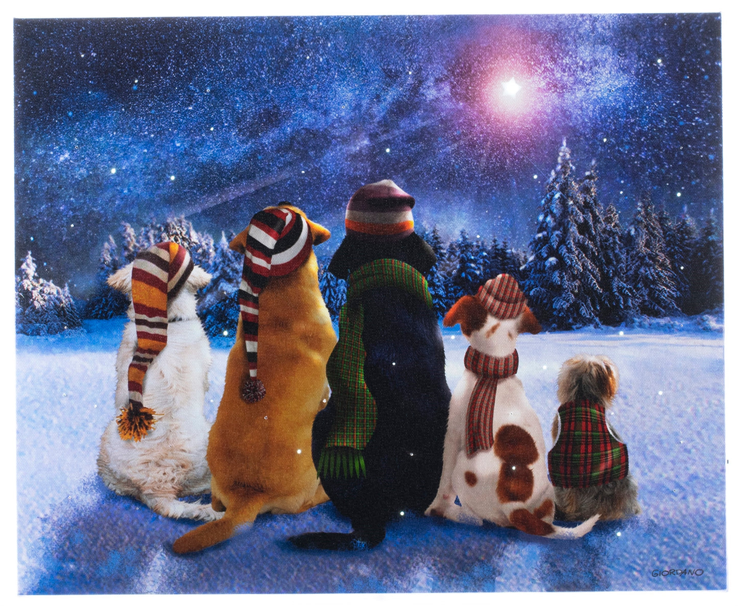 LED Lighted Canvas Wall Art, Home Decor Light up Picture with Timer, WAITING