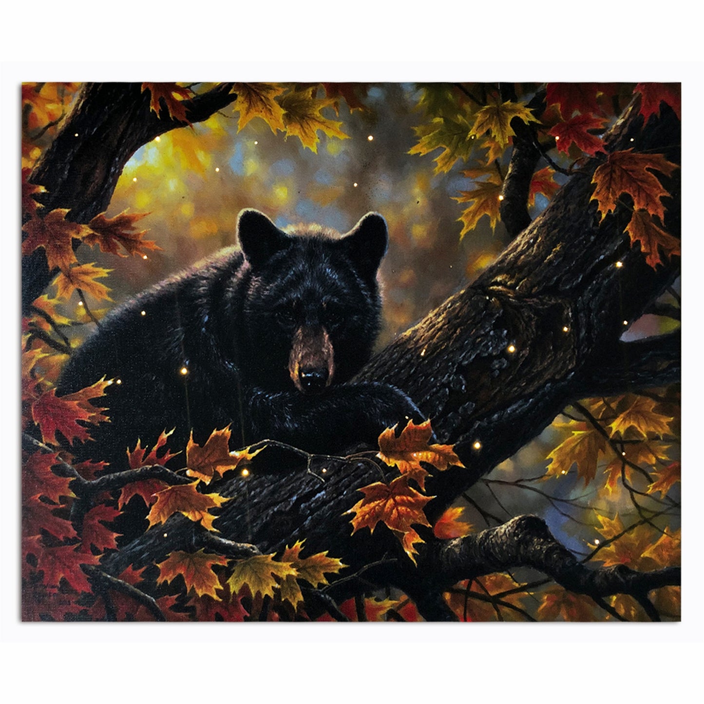LED Lighted Canvas Wall Art Light up Picture with Timer, Bear Fall