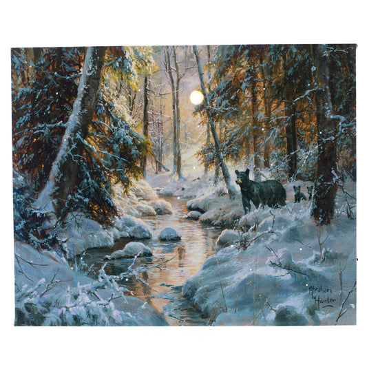 LED Tabletop Canvas Art 8"x6" Wall Decor Light up Picture 6H Timer, OH BEAR