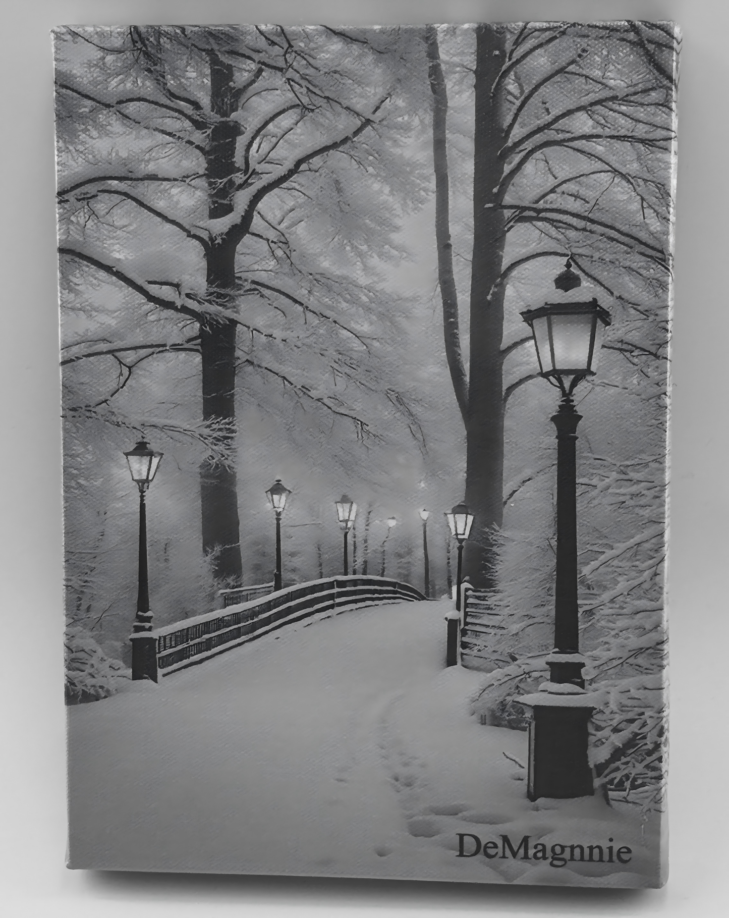 DeMagnnie Winter Scene Lighted Pictures with Timer 8x6"