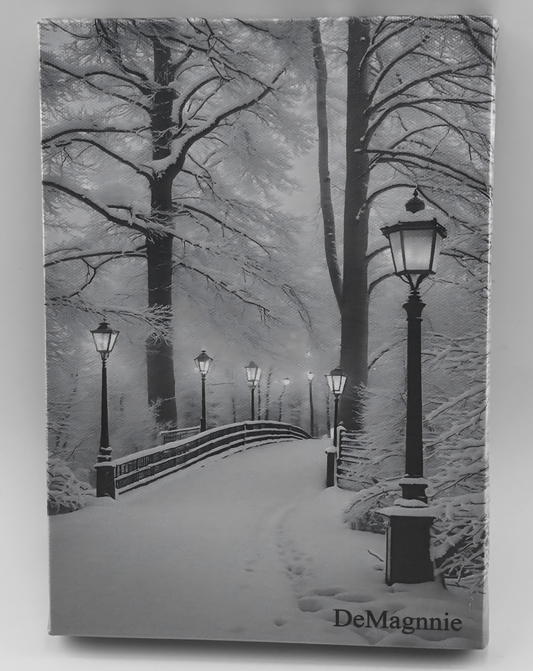 DeMagnnie Winter Scene Lighted Pictures with Timer 8x6"